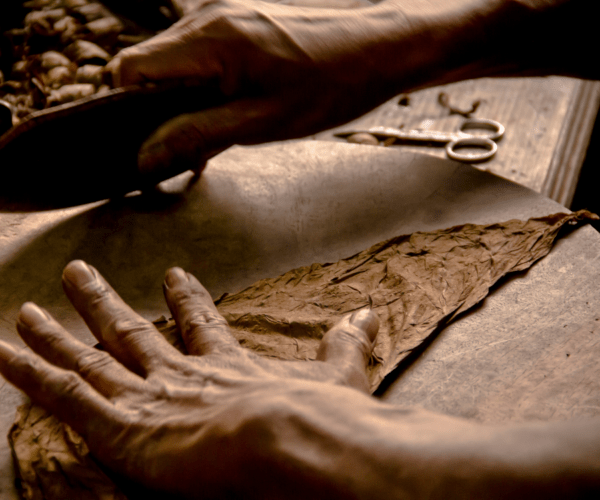 HABANO TOUR 2025 - Imagen 10