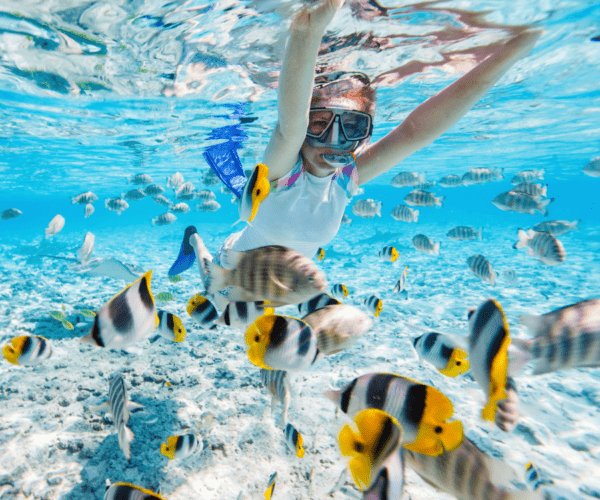 Bavaro Splash Punta Cana - Speedboats and Snorkeling - Imagen 3