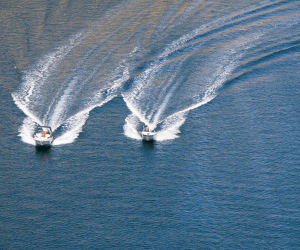 Bavaro Splash Punta Cana - Speedboats and Snorkeling - Imagen 6