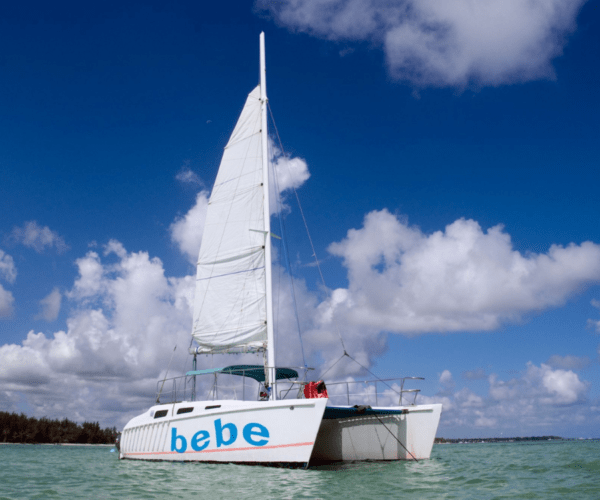 Bebe Catamaran Tour-Punta Cana - Imagen 2
