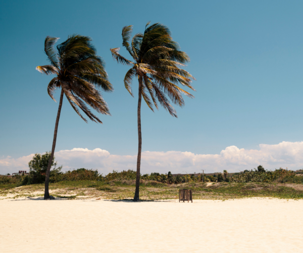Excursión a Playas del Este de La Habana - Imagen 5