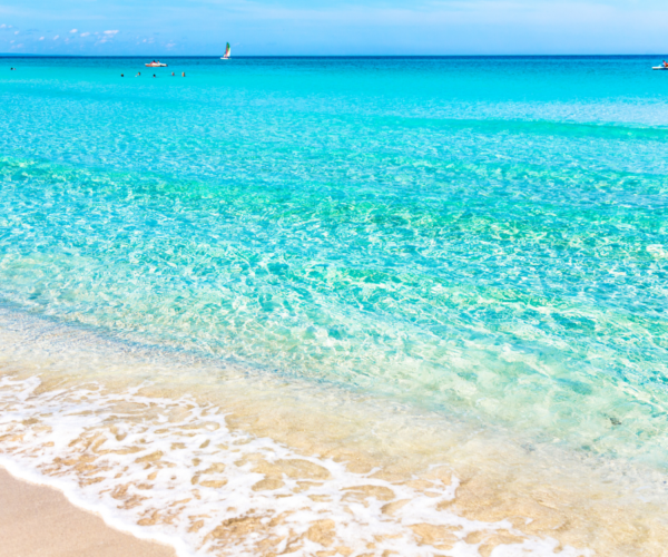 Excursión Varadero Plaza América - Imagen 6