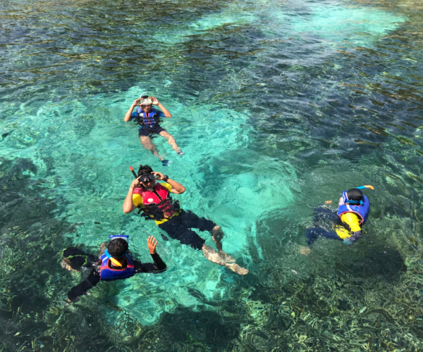 Excursión a Guamá-Punta Perdiz - Imagen 9